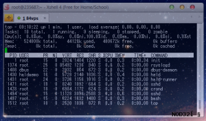 Burst – 5.95美元 OpenVZ 512M 20G 1000G 洛杉矶-AFFMAO