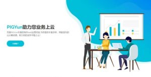 PIGYun:韩国CN2/月付9.9元/30M/350G流量-AFFMAO