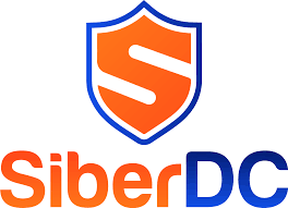 图片[1]-SiberDC：$1.3/月/1核/1GB内存/30GB SSD空间/不限流量/1Gbps端口/KVM/土耳其-AFFMAO