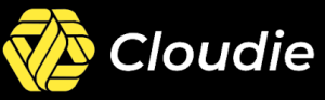 Cloudie:$4.95/月/4核/4GG内存/50GB空间/3TB流量/100Mbps端口/KVM/香港-AFFMAO