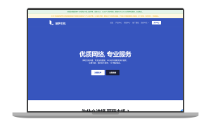 lisahost美国9929网络KVM VPS主机年付199元起-AFFMAO