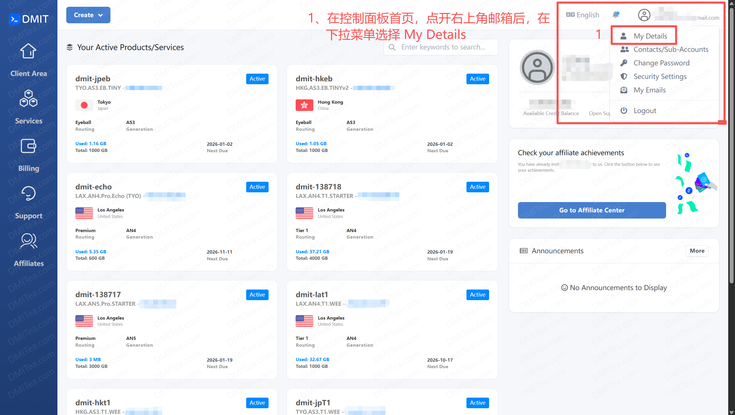 DMIT大妈修改邮箱过户新手级教程-AFFMAO